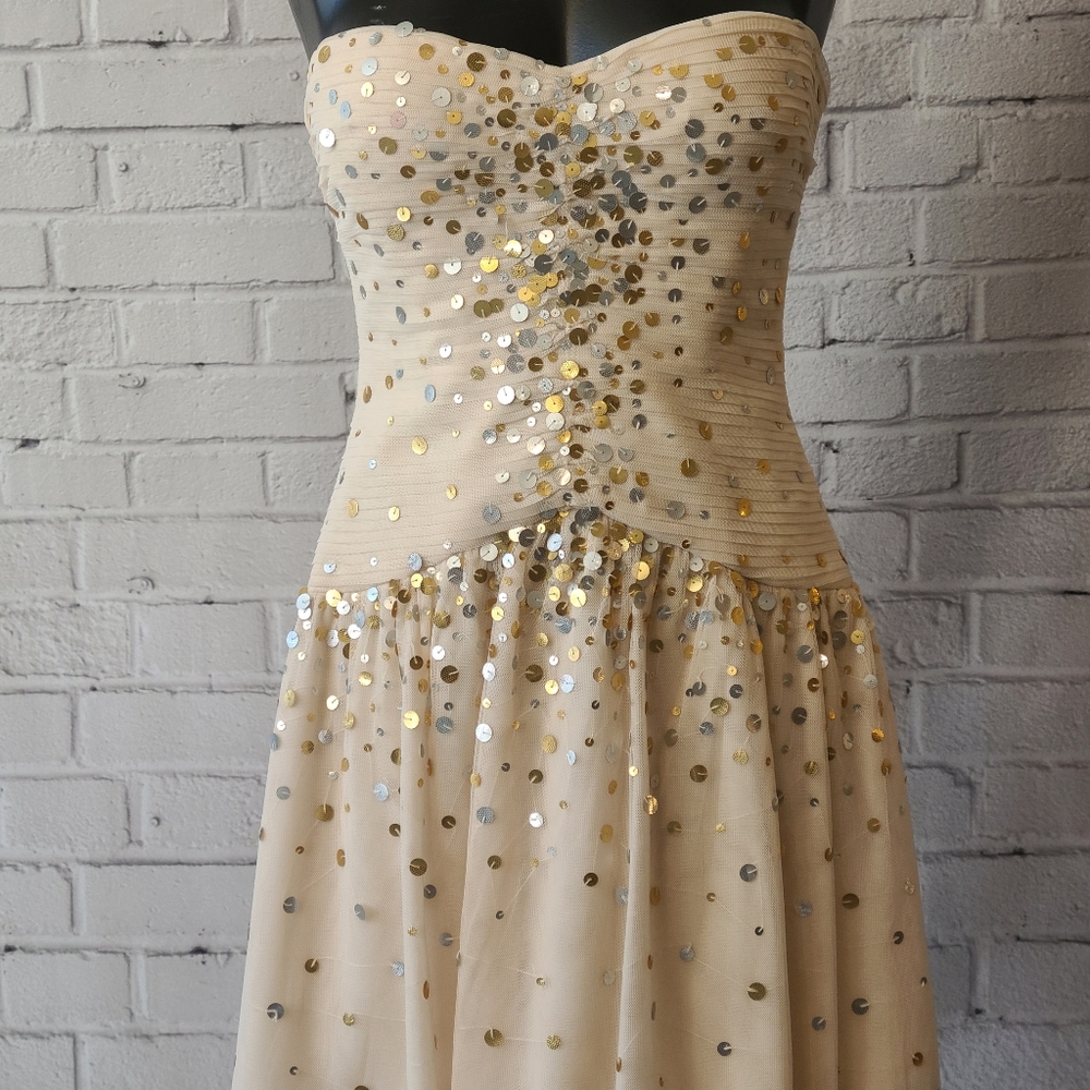 BCBG- Sequin Party Dress